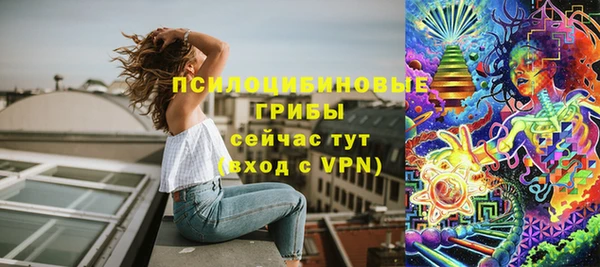 спайс Баксан