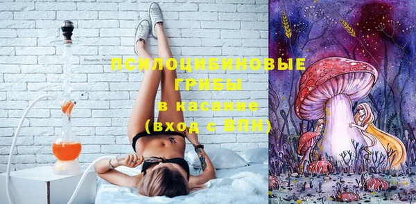спайс Баксан
