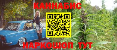 спиды Гусев
