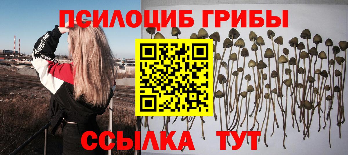 Псилоцибиновые грибы MAGIC MUSHROOMS Рыбинск