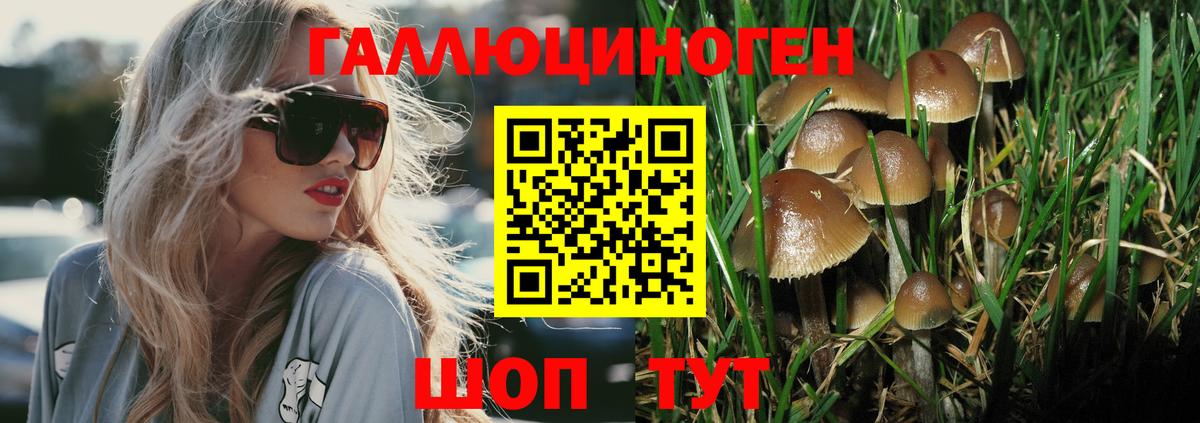 Галлюциногенные грибы мицелий  Галлюциногенные грибы Magic Shrooms  как найти наркотики  Рыбинск  Вход с VPN 
