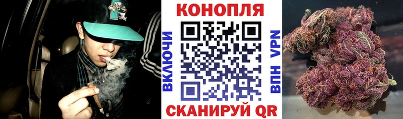 Канабис конопля Рыбинск