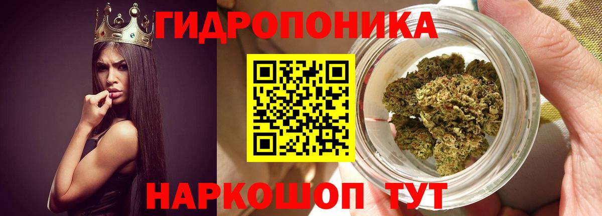 Рыбинск  Шишки марихуана планчик  Бошки марихуана планчик  Бошки марихуана THC 21%  Вход с VPN 